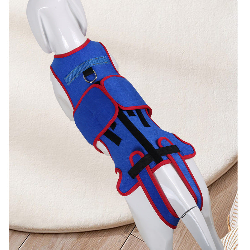 Transform Your Pet's Posture with Our Spine Support Jacket